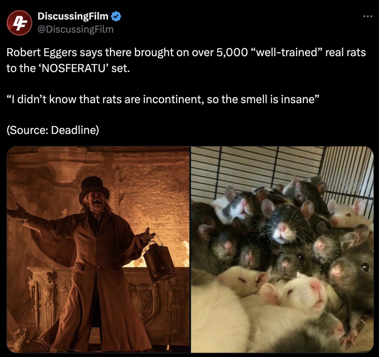 nosferatu 2024 trailer - 4 DiscussingFilm Robert Eggers says there brought on over 5,000 "welltrained real rats to the 'Nosferatu' set. "I didn't know that rats are incontinent, so the smell is insane Source Deadline